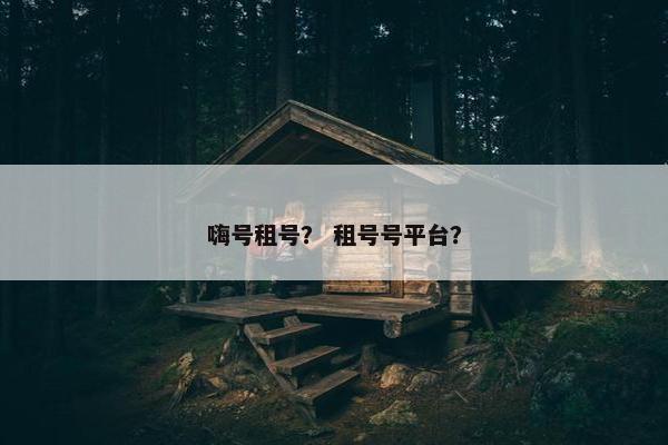 嗨号租号？ 租号号平台？