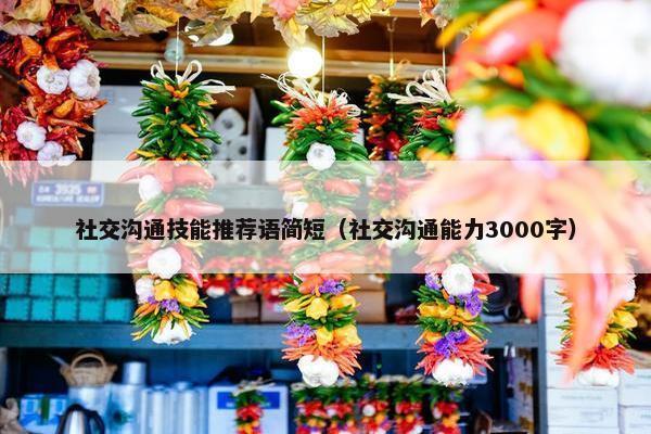 社交沟通技能推荐语简短（社交沟通能力3000字）
