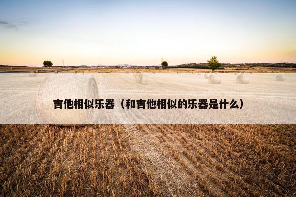 吉他相似乐器（和吉他相似的乐器是什么）