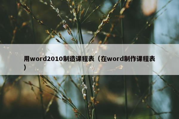 用word2010制造课程表（在word制作课程表）
