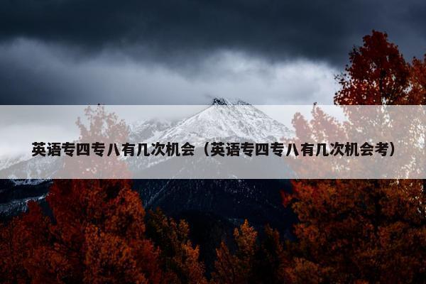 英语专四专八有几次机会（英语专四专八有几次机会考）