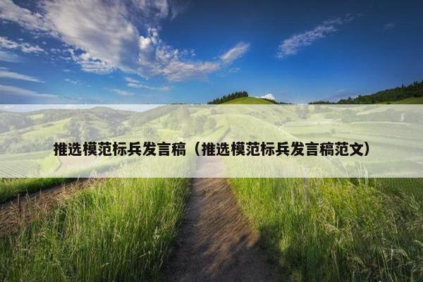 推选模范标兵发言稿（推选模范标兵发言稿范文）