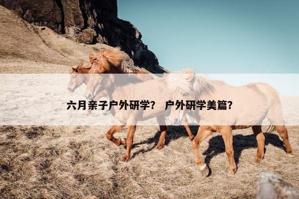 六月亲子户外研学？ 户外研学美篇？