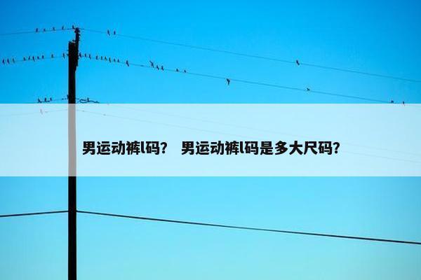 男运动裤l码？ 男运动裤l码是多大尺码？