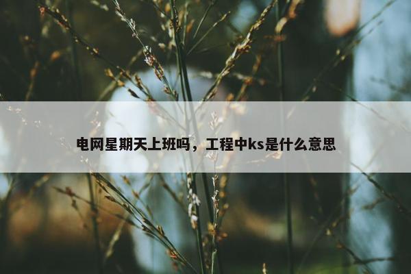 电网星期天上班吗，工程中ks是什么意思