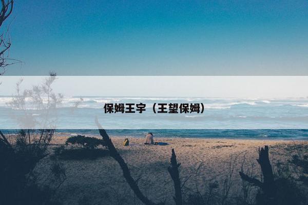 保姆王宇（王望保姆）