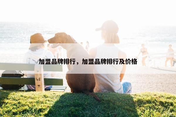 加盟品牌排行，加盟品牌排行及价格