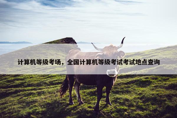 计算机等级考场，全国计算机等级考试考试地点查询