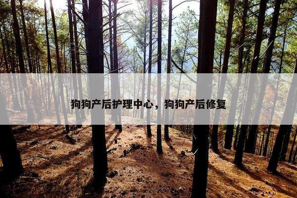狗狗产后护理中心，狗狗产后修复