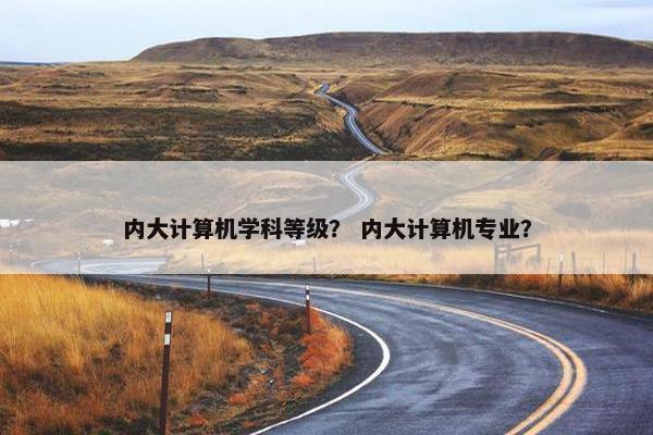 内大计算机学科等级？ 内大计算机专业？