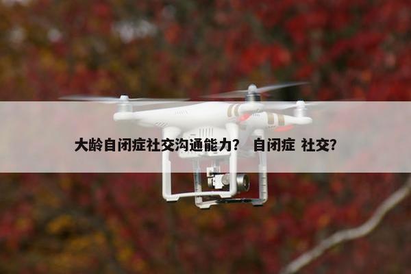 大龄自闭症社交沟通能力？ 自闭症 社交？