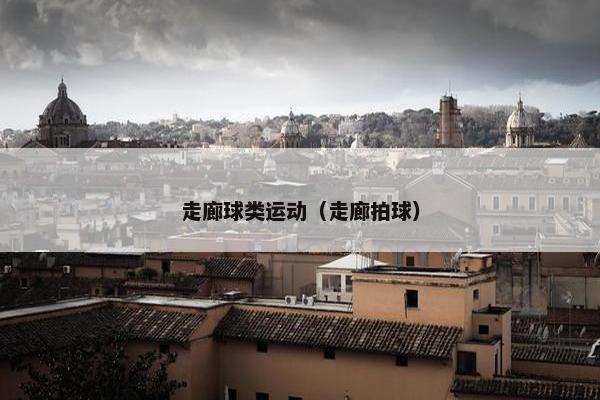 走廊球类运动（走廊拍球）