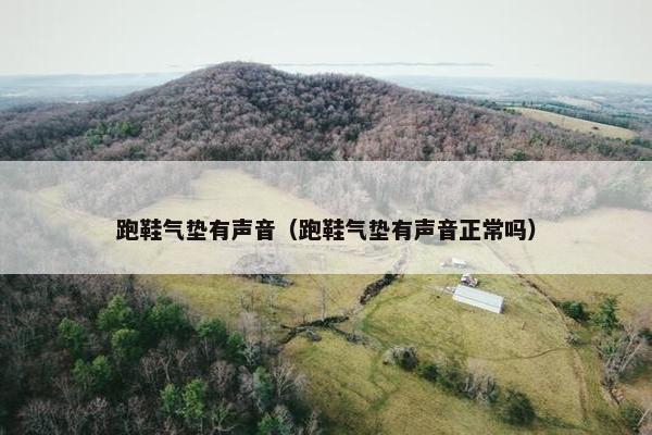 跑鞋气垫有声音（跑鞋气垫有声音正常吗）