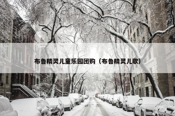 布鲁精灵儿童乐园团购（布鲁精灵儿歌）