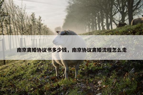 南京离婚协议书多少钱，南京协议离婚流程怎么走