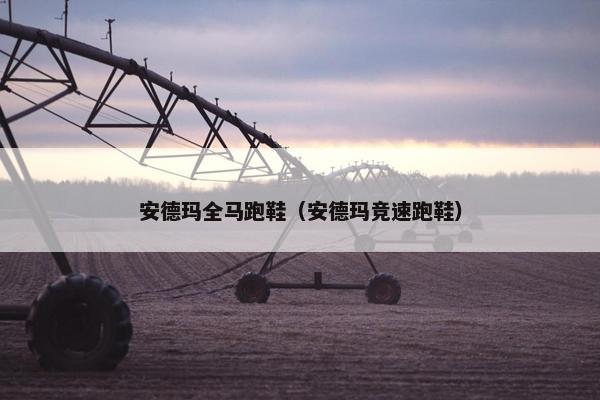 安德玛全马跑鞋（安德玛竞速跑鞋）