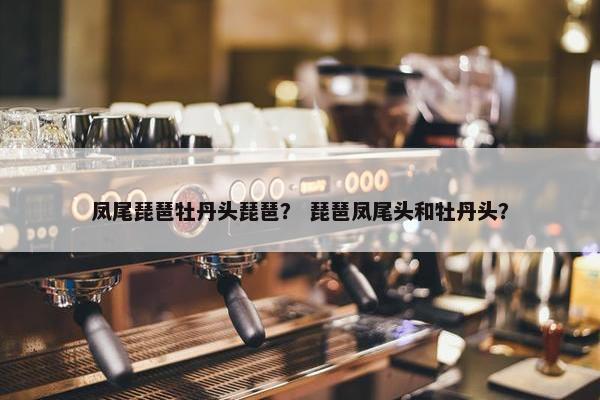 凤尾琵琶牡丹头琵琶？ 琵琶凤尾头和牡丹头？