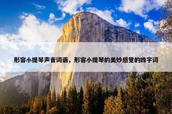 形容小提琴声音词语，形容小提琴的美妙感觉的四字词
