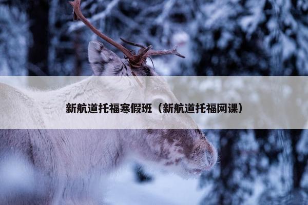 新航道托福寒假班（新航道托福网课）