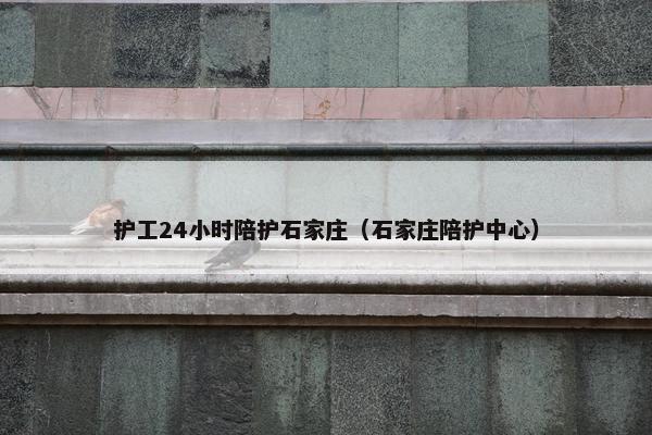 护工24小时陪护石家庄（石家庄陪护中心）