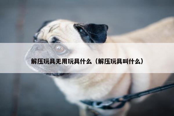 解压玩具无用玩具什么（解压玩具叫什么）