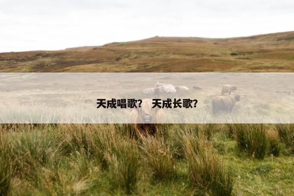天成唱歌？ 天成长歌？