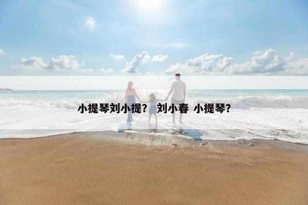 小提琴刘小提？ 刘小春 小提琴？