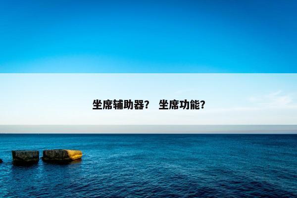 坐席辅助器？ 坐席功能？