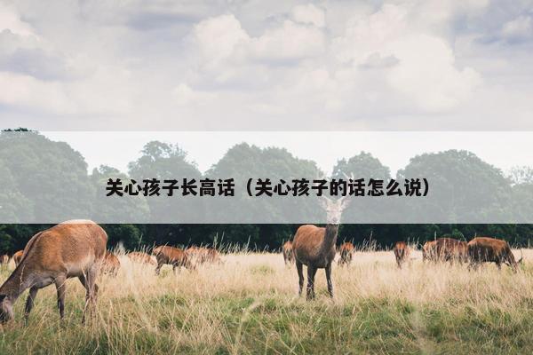关心孩子长高话（关心孩子的话怎么说）
