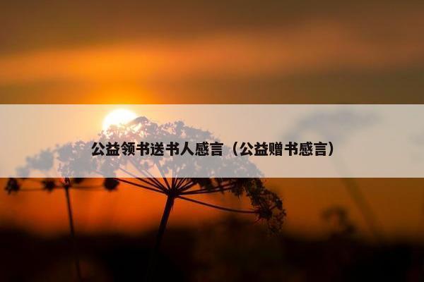 公益领书送书人感言（公益赠书感言）
