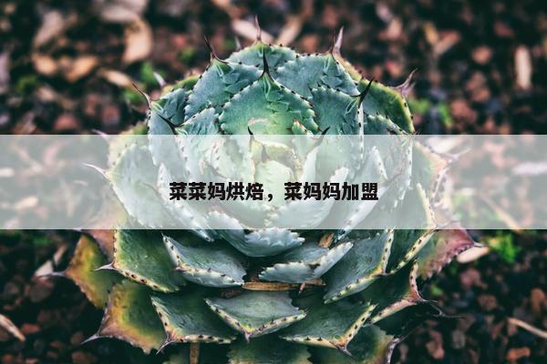 菜菜妈烘焙，菜妈妈加盟