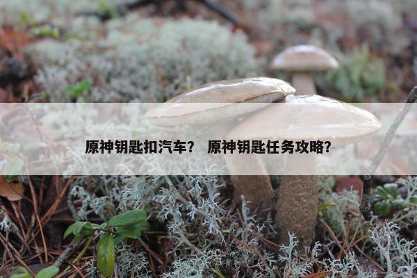 原神钥匙扣汽车？ 原神钥匙任务攻略？