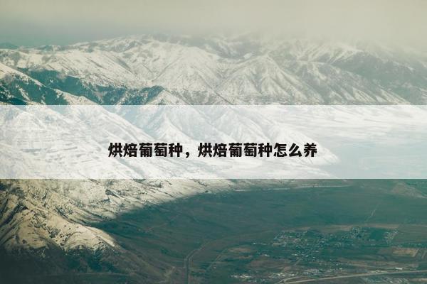 烘焙葡萄种，烘焙葡萄种怎么养