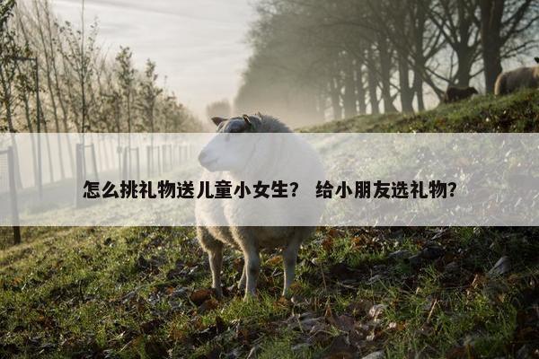 怎么挑礼物送儿童小女生？ 给小朋友选礼物？