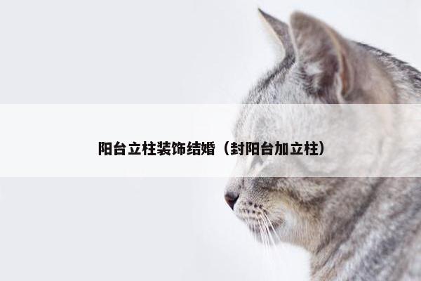 阳台立柱装饰结婚（封阳台加立柱）