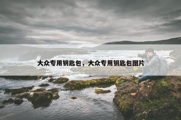 大众专用钥匙包，大众专用钥匙包图片