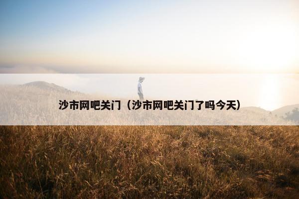 沙市网吧关门（沙市网吧关门了吗今天）