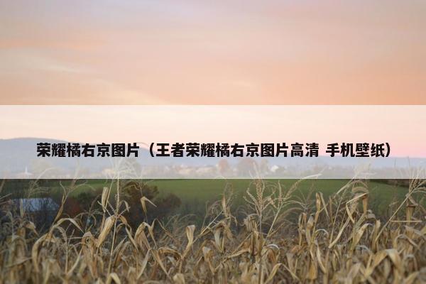 荣耀橘右京图片（王者荣耀橘右京图片高清 手机壁纸）