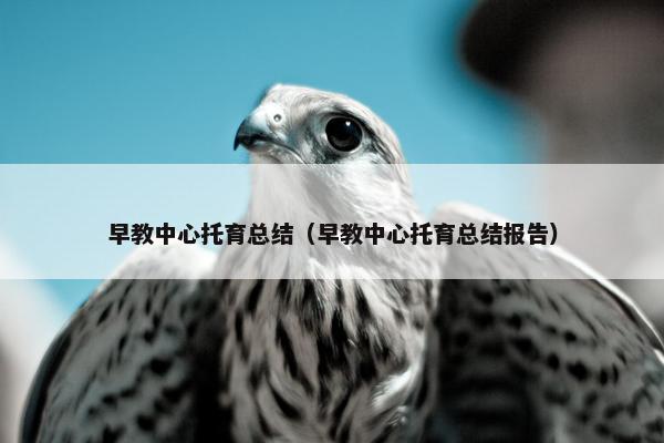 早教中心托育总结（早教中心托育总结报告）