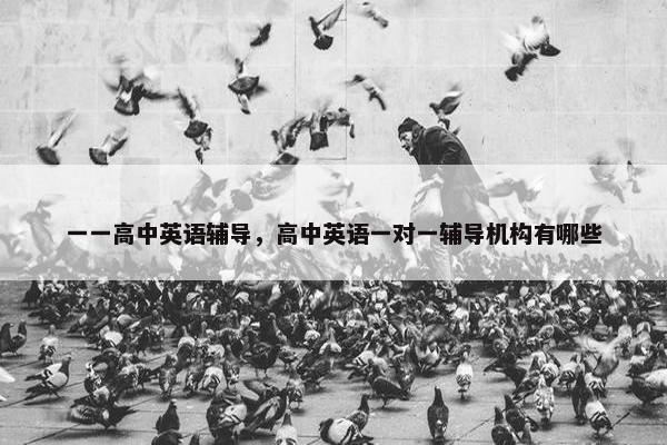 一一高中英语辅导，高中英语一对一辅导机构有哪些
