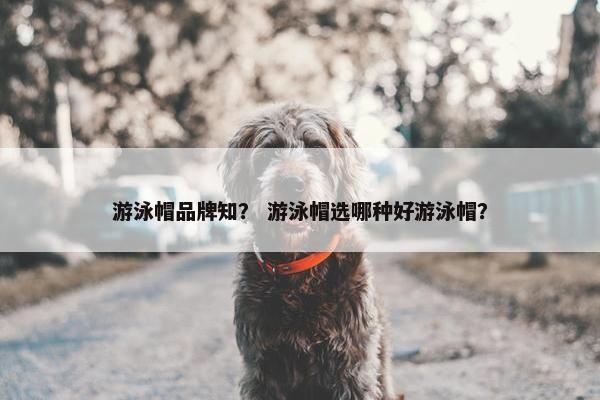 游泳帽品牌知？ 游泳帽选哪种好游泳帽？