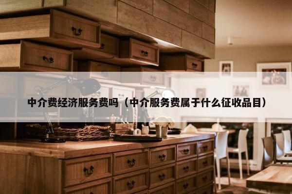 中介费经济服务费吗（中介服务费属于什么征收品目）