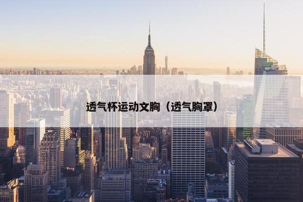透气杯运动文胸（透气胸罩）
