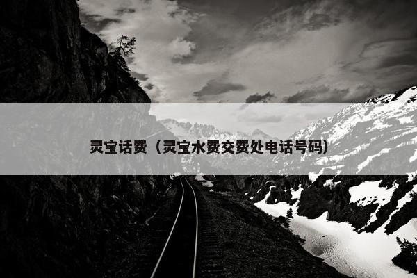 灵宝话费（灵宝水费交费处电话号码）