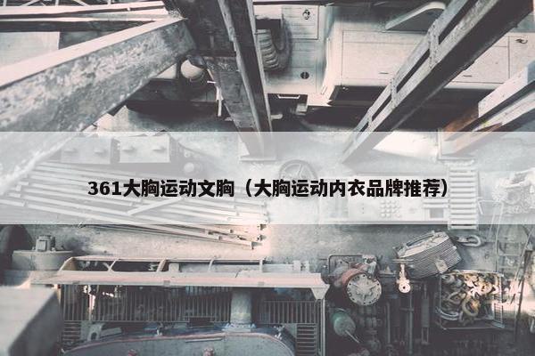 361大胸运动文胸（大胸运动内衣品牌推荐）