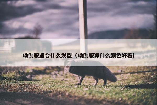 瑜伽服适合什么发型（瑜伽服穿什么颜色好看）