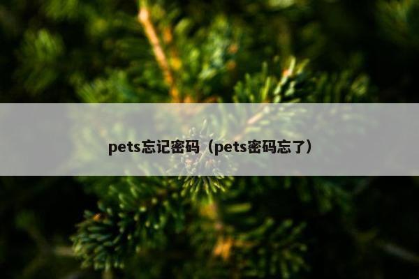 pets忘记密码（pets密码忘了）