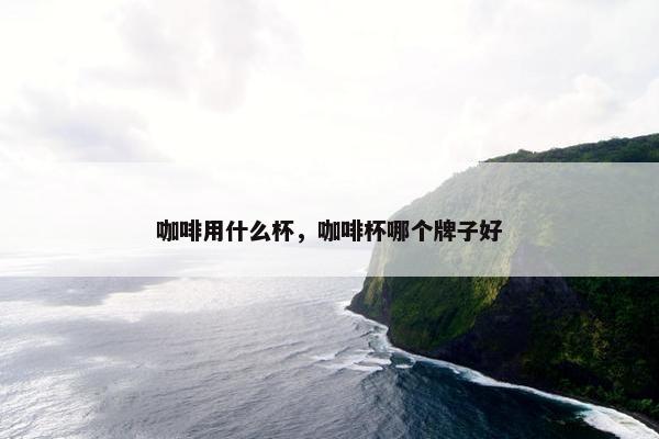 咖啡用什么杯，咖啡杯哪个牌子好
