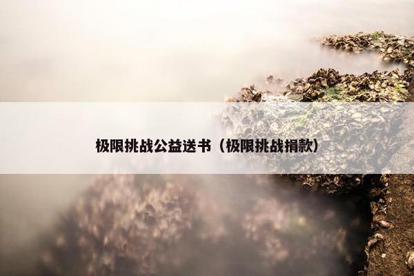 极限挑战公益送书（极限挑战捐款）