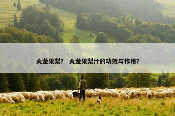 火龙果梨？ 火龙果梨汁的功效与作用？